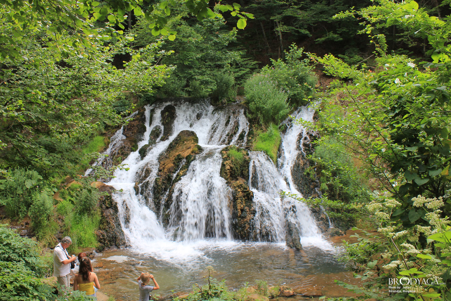 Strandja